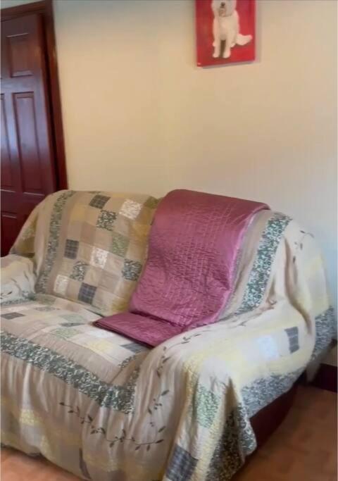 Annie Dee'S Guest Accommodation Ballygowan Eksteriør billede