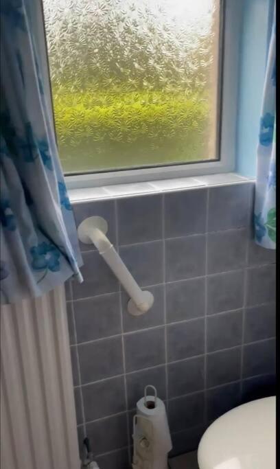 Annie Dee'S Guest Accommodation Ballygowan Eksteriør billede